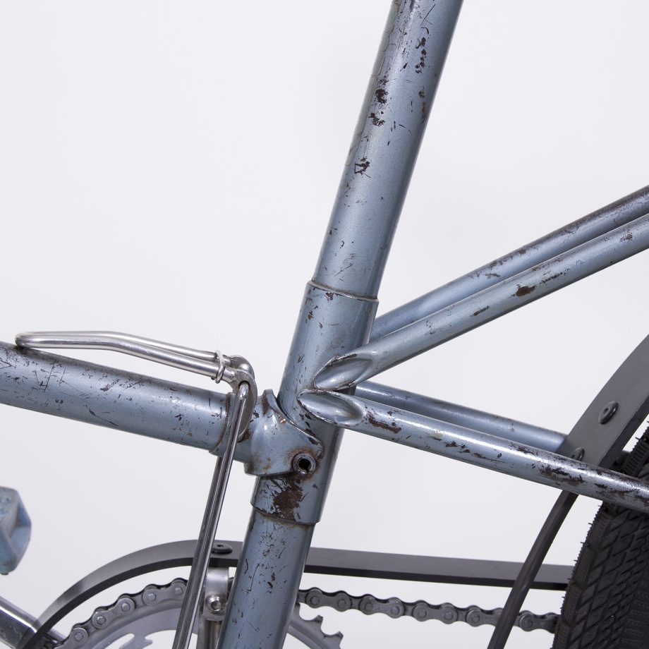 Gazelle Kwikstep Bicycle with Rain-bow Fenders